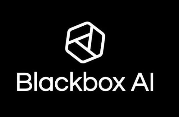 BLACK BOX IA